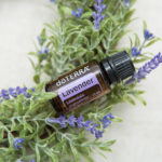 lavender-oil